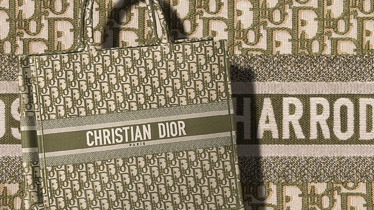 Dior: All You Need To Know About The Small Book Tote - BAGAHOLICBOY