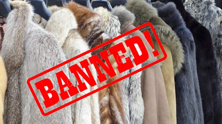 Luxury Fashion Brand Ralph Lauren Bans Mohair