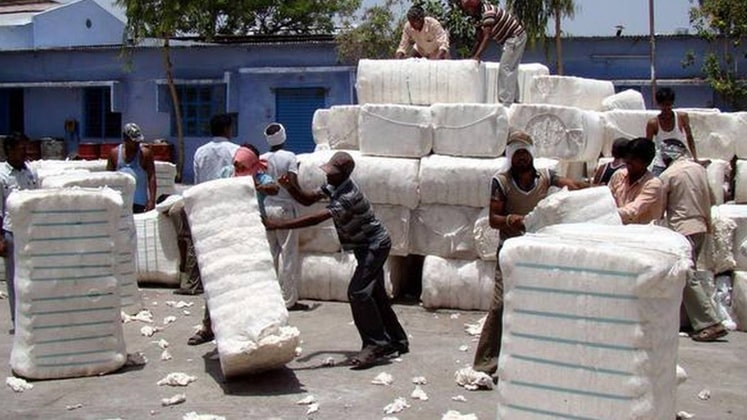 Cotton Bales