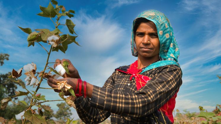 Comment: How we are working to empower women in cotton production