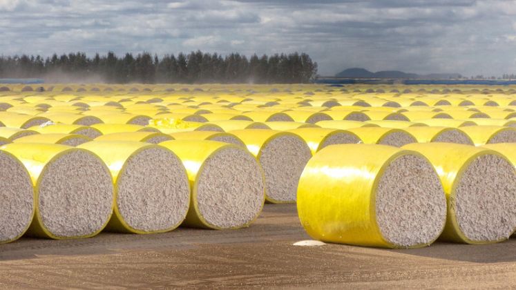 Better Cotton verbessert die Rückverfolgbarkeit für große Einzelhändler