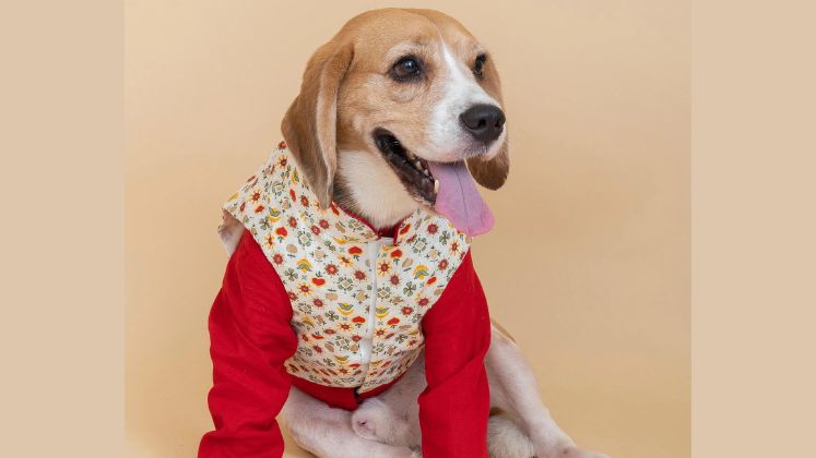 Paws Up! Scarf and Tail is Leading the Pack for Pet Apparel Brands in 2021