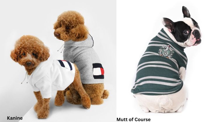 Paws Up! Scarf and Tail is Leading the Pack for Pet Apparel Brands in 2021