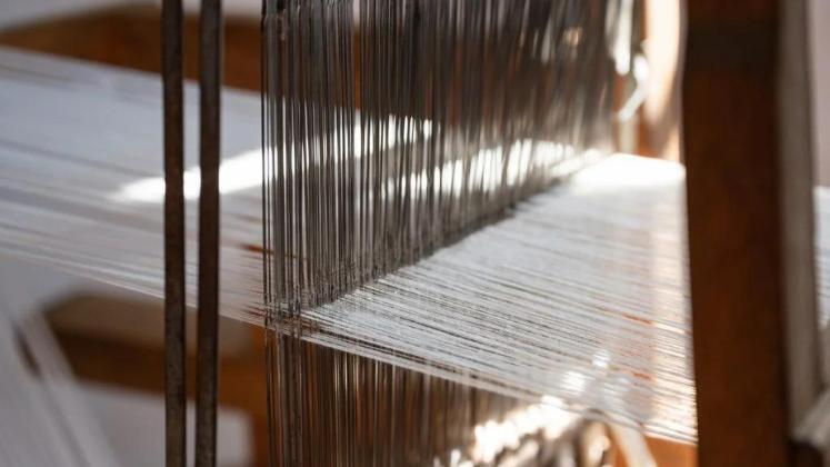 Kraig Biocraft unveils ‘premium yarn’ made from spider silk, Pima cotton