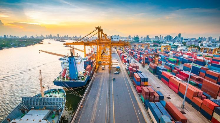 LC openings dip in February