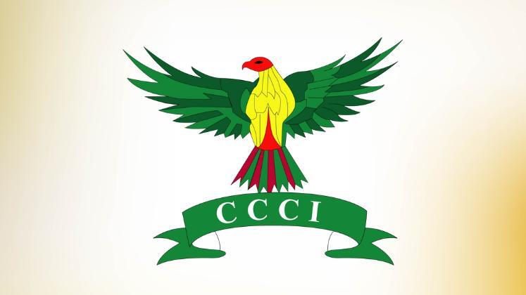 Rationalise tariffs to safeguard local industry, say entrepreneurs