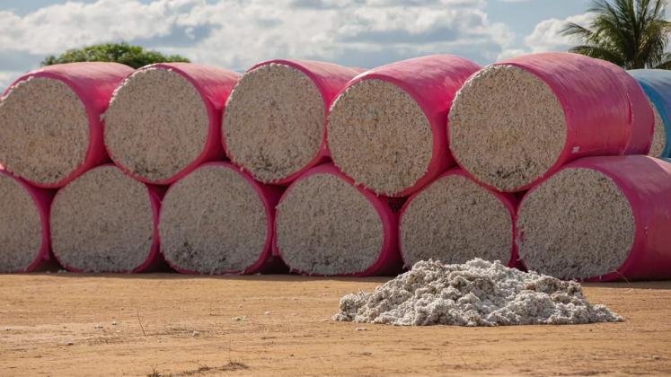 World’s largest fashion brands using tainted cotton, says investigation