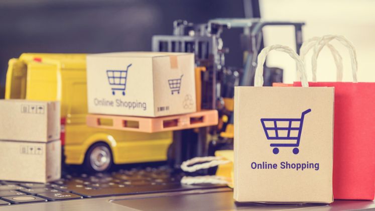 Pluugin E-commerce to connect Indian businesses to global retail opportunities
