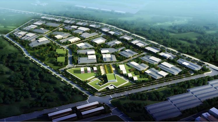 Service halt to deter investment for new units outside of industrial zones, says BGMEA