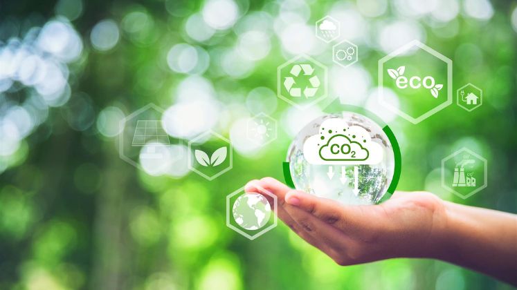 GreenStitch targets major carbon emission reduction by 2030