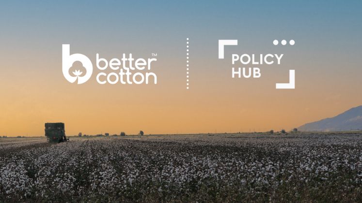 Better Cotton joins Policy Hub coalition to participate in EU