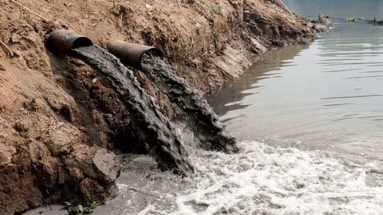 Report finds presence of hazardous chemicals in garments, surface water of five rivers near textile hubs