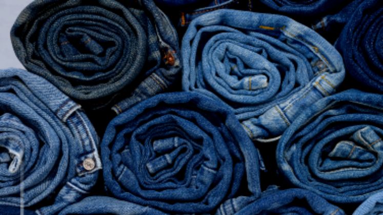 Vishal Fabrics Ltd. sees FY '25 profit rise by 13 per cent