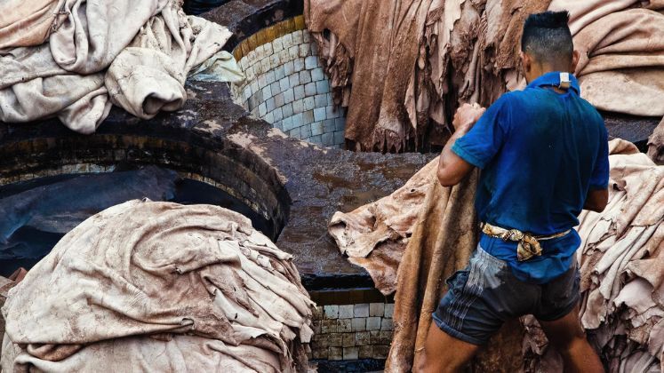 Bangladesh leather industry faces rawhide shortage after Eid-ul-Adha | Bangladesh leather Industry