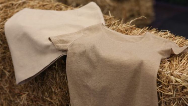 Sweden turning oat husks, agri‑waste into cellulose fibre