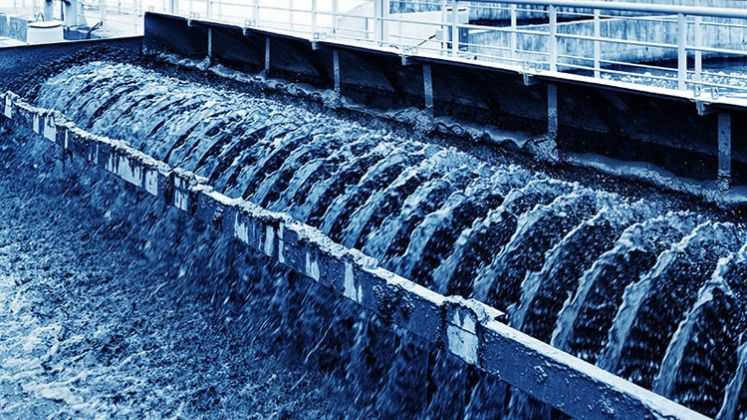 Sustainability News Sustainability News