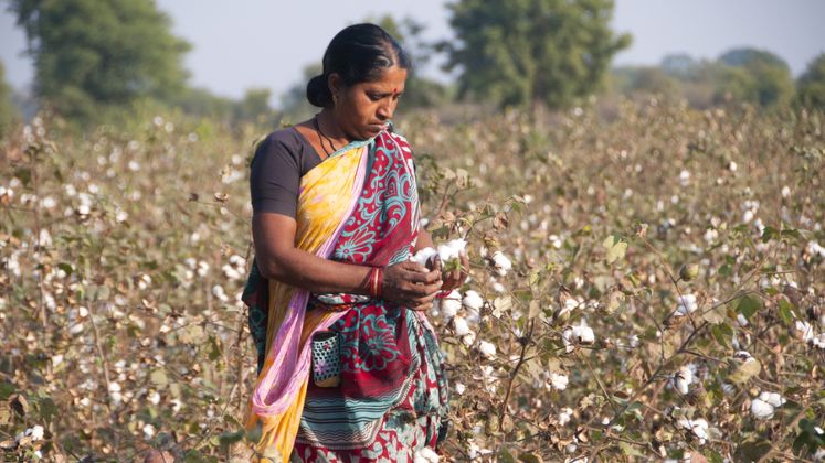 Textile Industry News Textile Industry News