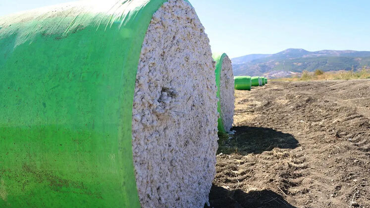 Cotton Imports Cotton Imports