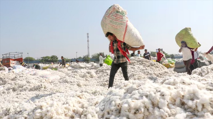 USDA signals major shift in Bangladesh’s cotton imports as Brazil overtakes India