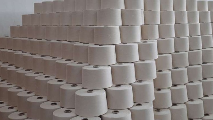 Industry Seeks Government Intervention on Cotton Import Duty Amid Supply Concerns